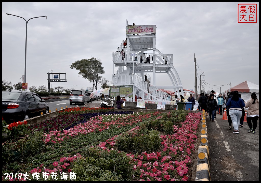 嘉義景點|2018太保市花海節．太保Go幸福．白天看花海晚上賞花燈/免費景點/一日遊 @假日農夫愛趴趴照