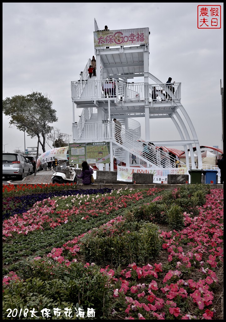 嘉義景點|2018太保市花海節．太保Go幸福．白天看花海晚上賞花燈/免費景點/一日遊 @假日農夫愛趴趴照