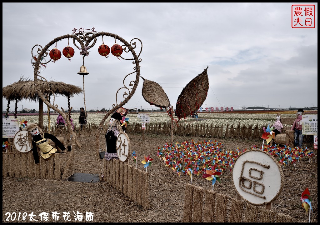 嘉義景點|2018太保市花海節．太保Go幸福．白天看花海晚上賞花燈/免費景點/一日遊 @假日農夫愛趴趴照