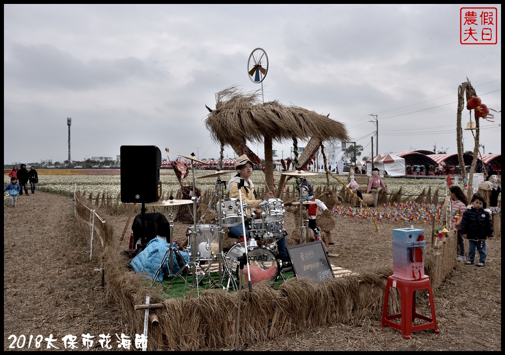 嘉義景點|2018太保市花海節．太保Go幸福．白天看花海晚上賞花燈/免費景點/一日遊 @假日農夫愛趴趴照