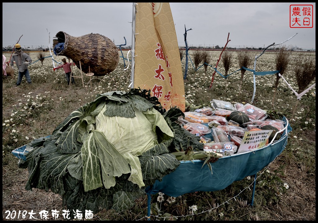 嘉義景點|2018太保市花海節．太保Go幸福．白天看花海晚上賞花燈/免費景點/一日遊 @假日農夫愛趴趴照