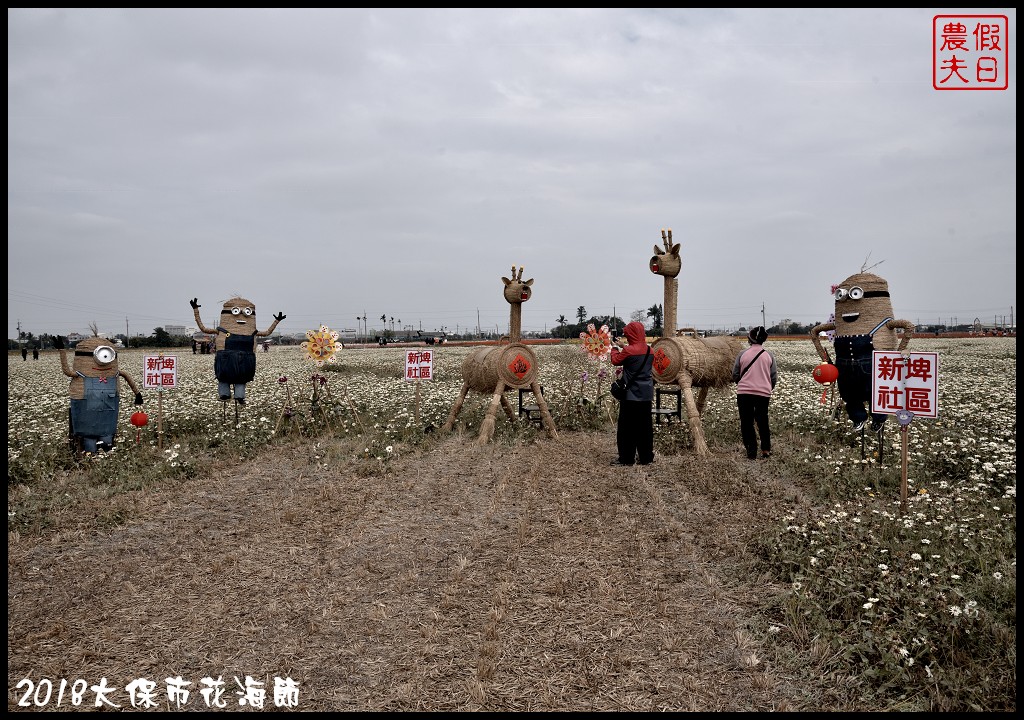 嘉義景點|2018太保市花海節．太保Go幸福．白天看花海晚上賞花燈/免費景點/一日遊 @假日農夫愛趴趴照