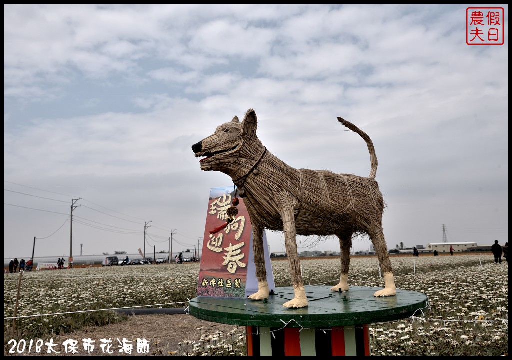 嘉義景點|2018太保市花海節．太保Go幸福．白天看花海晚上賞花燈/免費景點/一日遊 @假日農夫愛趴趴照