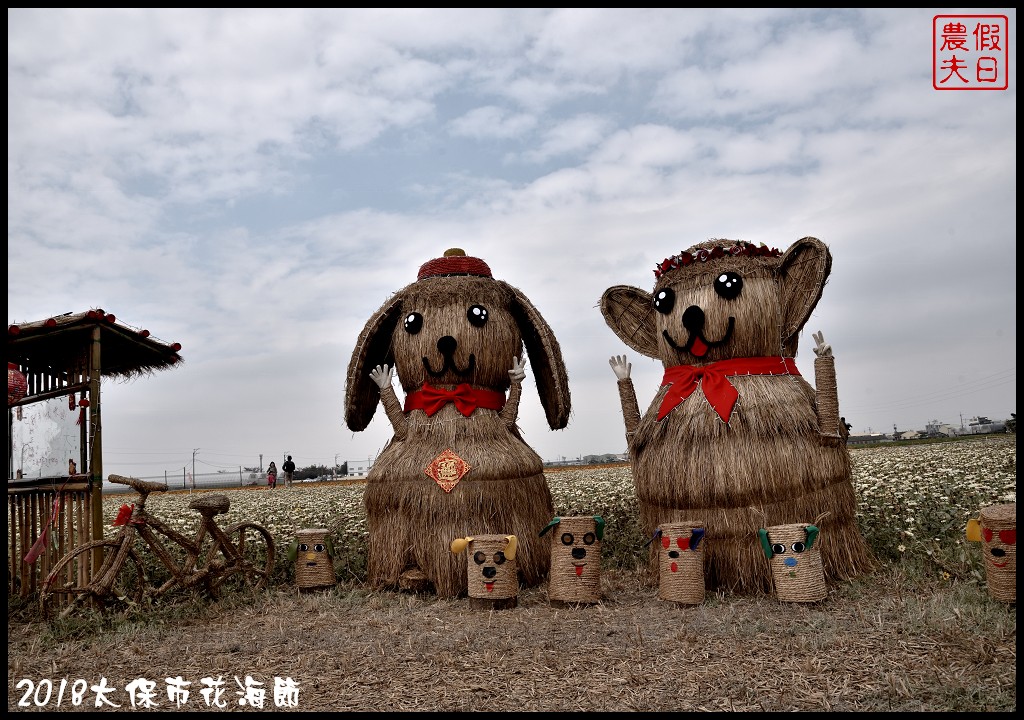 嘉義景點|2018太保市花海節．太保Go幸福．白天看花海晚上賞花燈/免費景點/一日遊 @假日農夫愛趴趴照