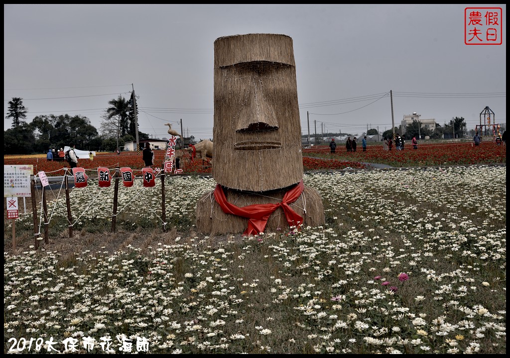 嘉義景點|2018太保市花海節．太保Go幸福．白天看花海晚上賞花燈/免費景點/一日遊 @假日農夫愛趴趴照