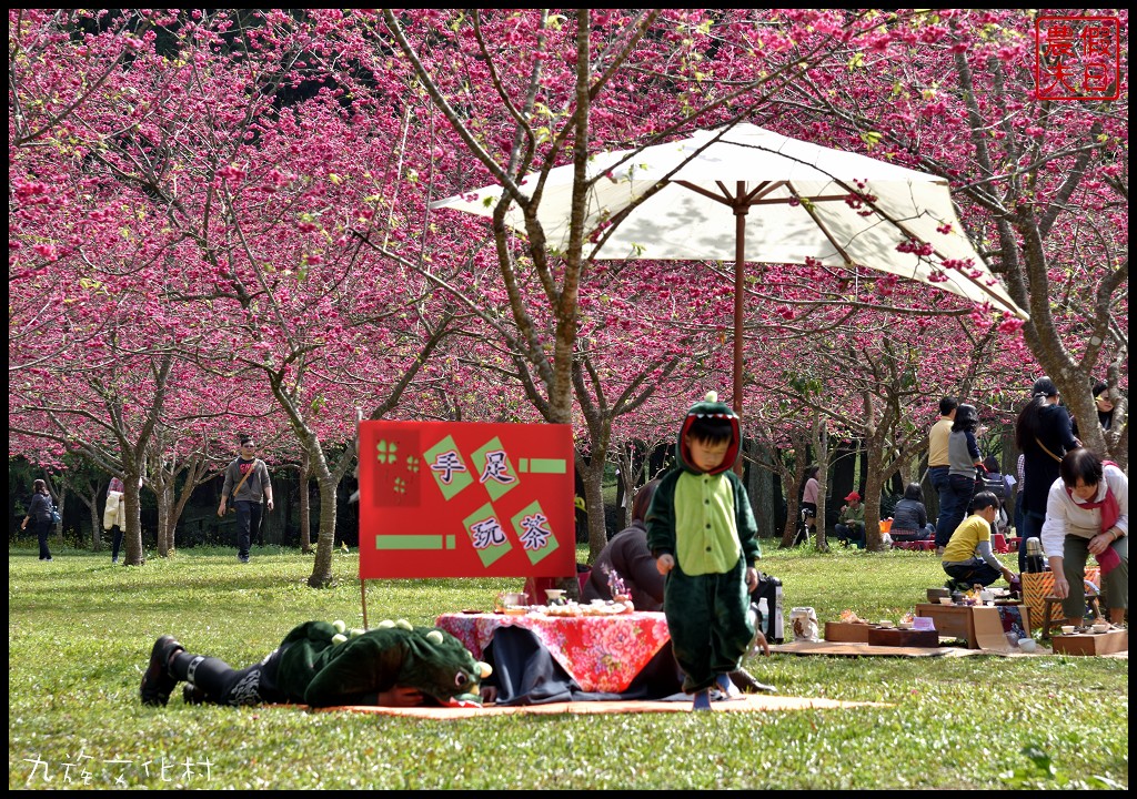 南投景點|九族文化村櫻花詩歌茶會．櫻花開幸福來/九族櫻花祭/富士櫻/台灣第一夜櫻/中部景點/半日遊 @假日農夫愛趴趴照