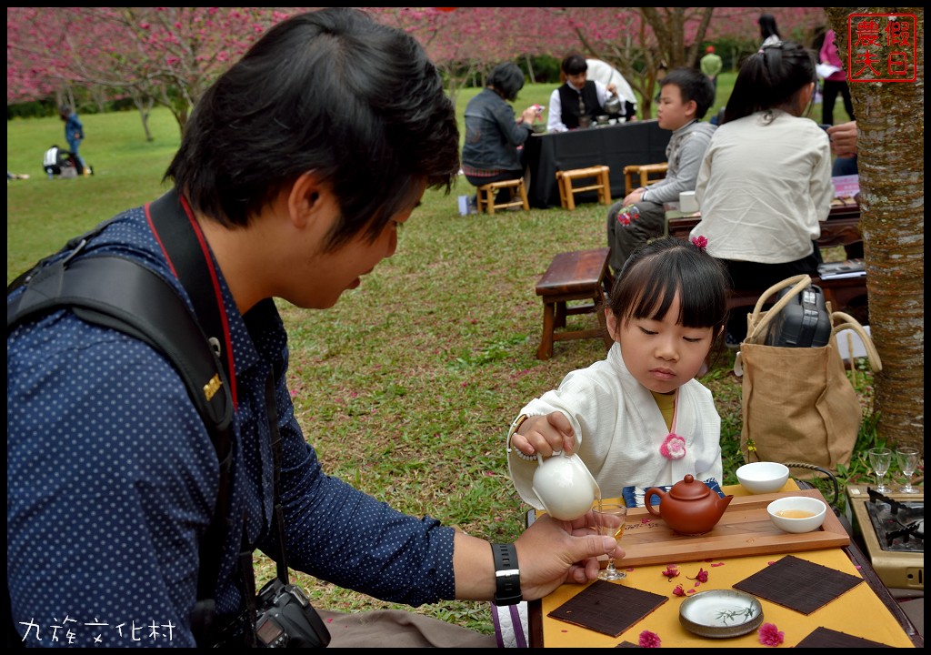 南投景點|九族文化村櫻花詩歌茶會．櫻花開幸福來/九族櫻花祭/富士櫻/台灣第一夜櫻/中部景點/半日遊 @假日農夫愛趴趴照