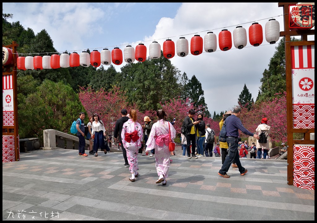 南投景點|九族文化村櫻花詩歌茶會．櫻花開幸福來/九族櫻花祭/富士櫻/台灣第一夜櫻/中部景點/半日遊 @假日農夫愛趴趴照