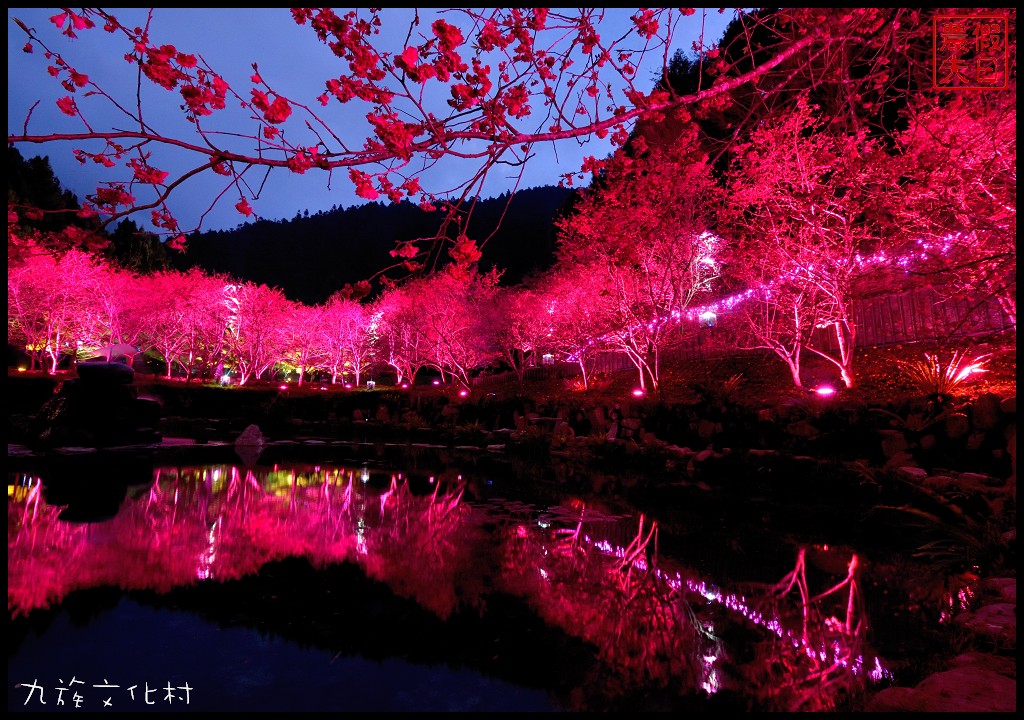 南投景點|九族文化村櫻花詩歌茶會．櫻花開幸福來/九族櫻花祭/富士櫻/台灣第一夜櫻/中部景點/半日遊 @假日農夫愛趴趴照