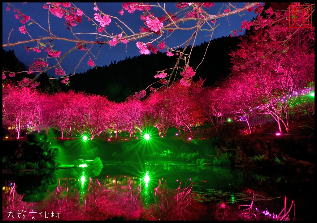 南投景點|九族文化村櫻花詩歌茶會．櫻花開幸福來/九族櫻花祭/富士櫻/台灣第一夜櫻/中部景點/半日遊 @假日農夫愛趴趴照