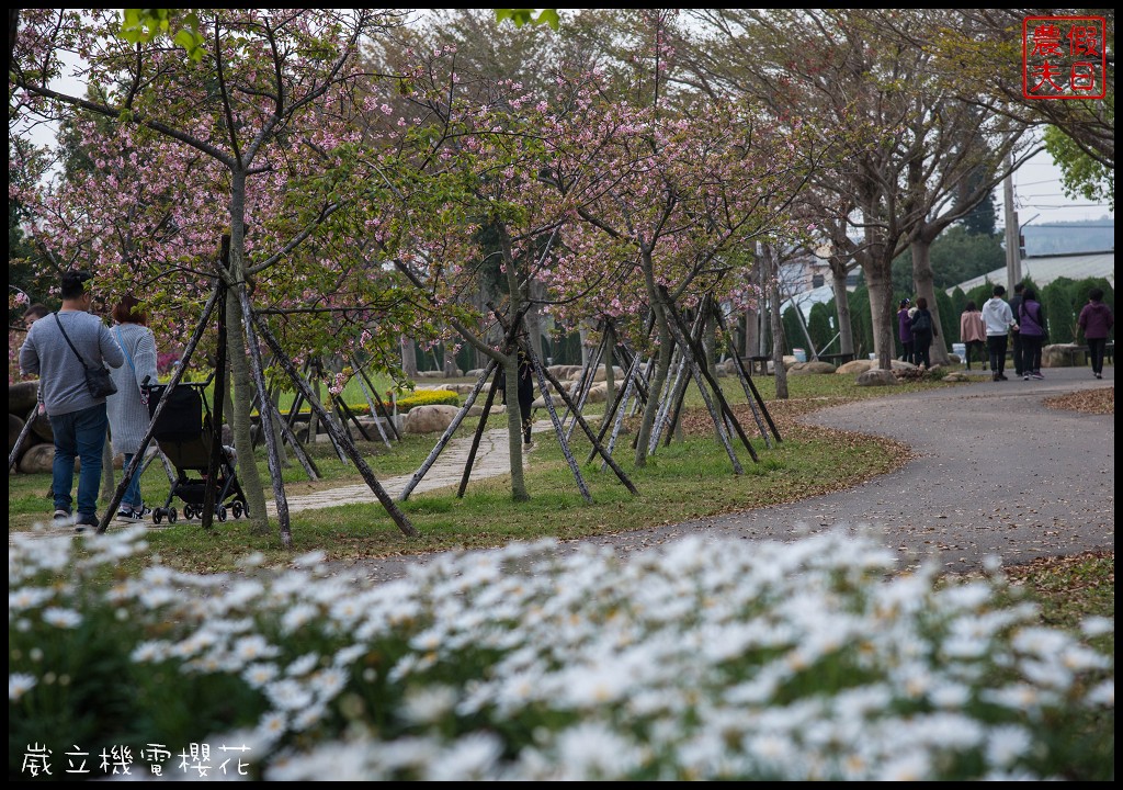 台中景點|崴立機電櫻花公園 免費賞櫻新熱點/賞櫻秘境/中部景點/台中半日遊 @假日農夫愛趴趴照