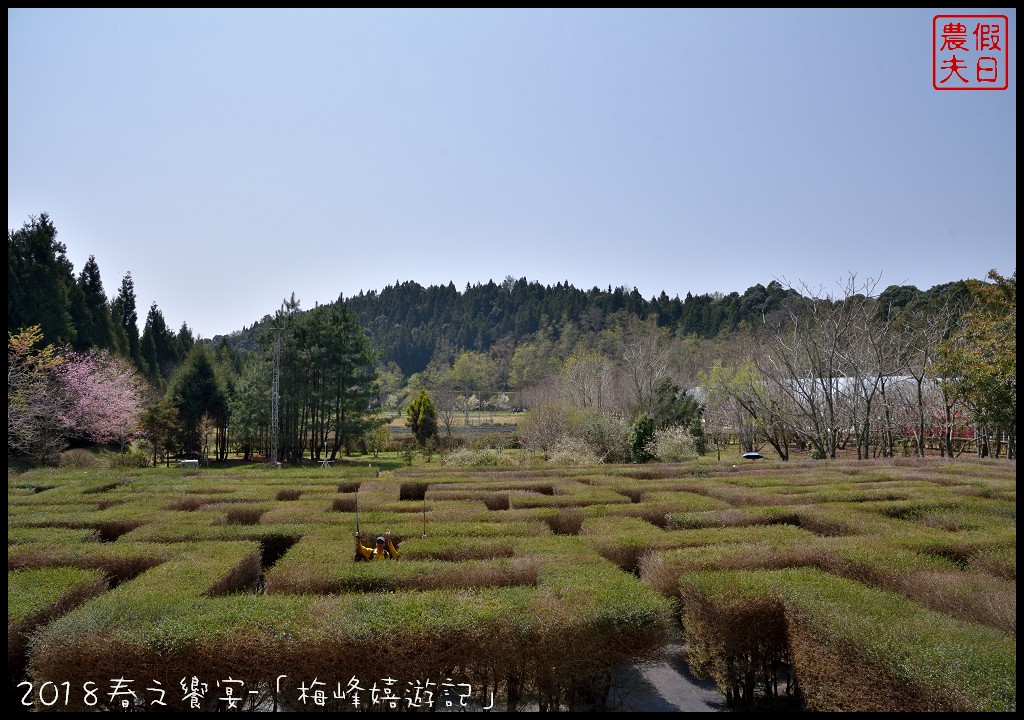 南投景點|臺大梅峰農場桃花舞春風．2023春之饗宴/活動日期/交通資訊 @假日農夫愛趴趴照