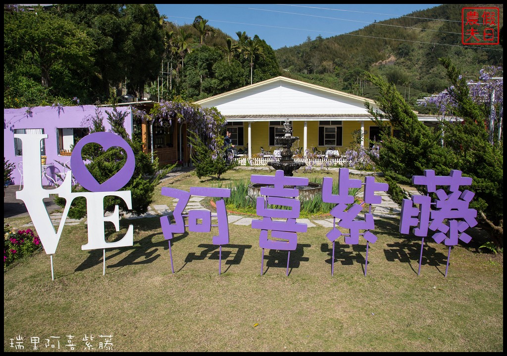 嘉義旅遊|瑞里第一棵紫藤花在阿喜紫藤．沒預約無法享受幸福下午茶/合法民宿 @假日農夫愛趴趴照