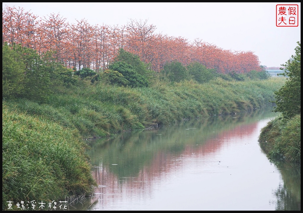 彰化景點|二林東螺溪木棉花道．美麗的火紅大道/半日遊/中部景點 @假日農夫愛趴趴照