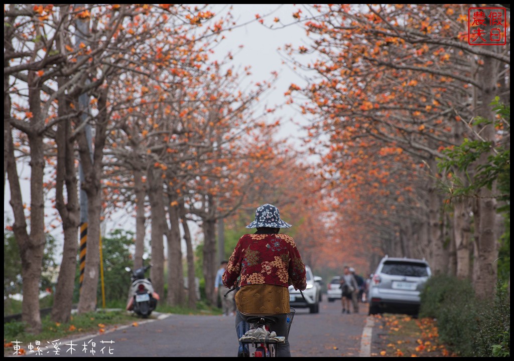 彰化景點|二林東螺溪木棉花道．美麗的火紅大道/半日遊/中部景點 @假日農夫愛趴趴照