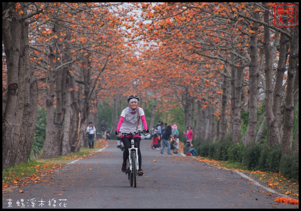 彰化景點|二林東螺溪木棉花道．美麗的火紅大道/半日遊/中部景點 @假日農夫愛趴趴照