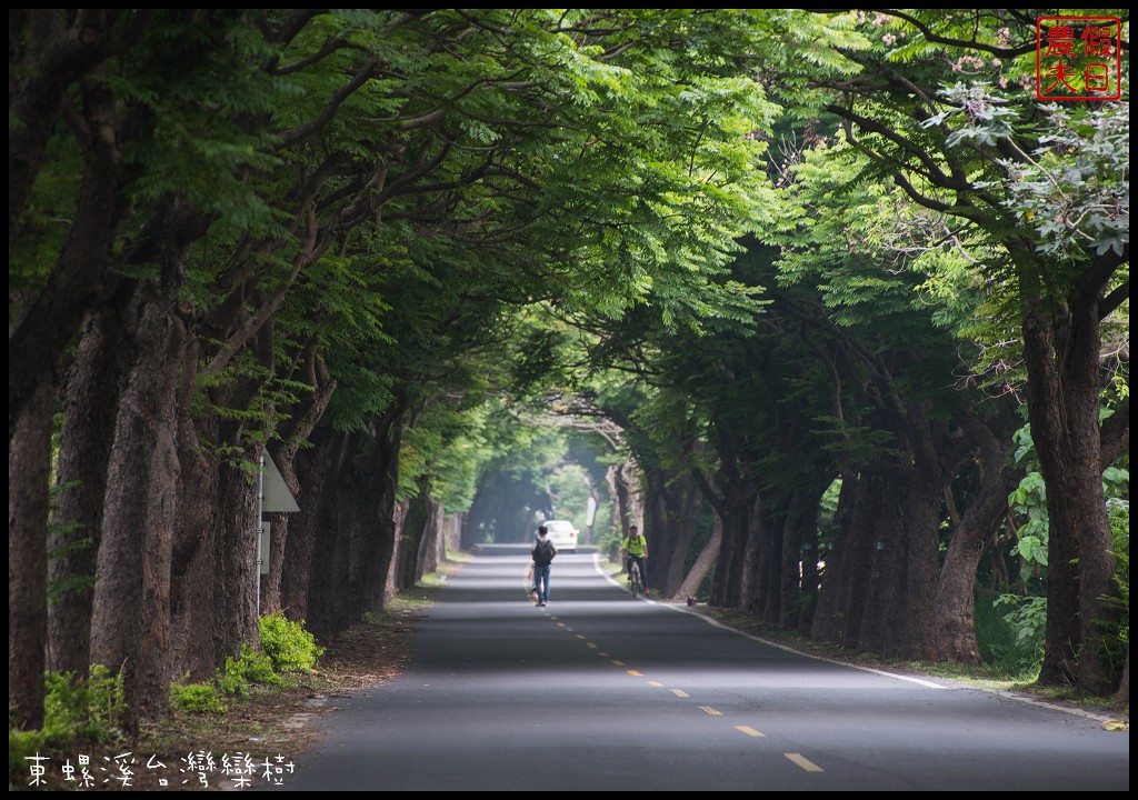 彰化景點|二林東螺溪木棉花道．美麗的火紅大道/半日遊/中部景點 @假日農夫愛趴趴照