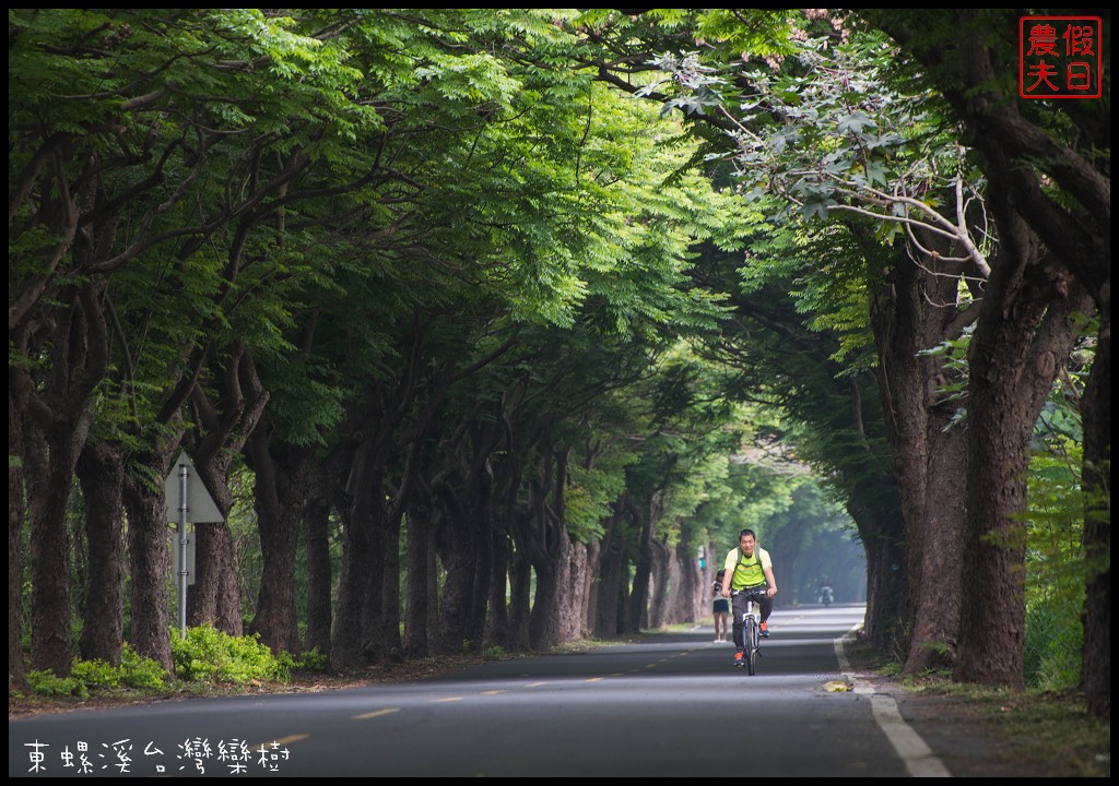 彰化景點|二林東螺溪木棉花道．美麗的火紅大道/半日遊/中部景點 @假日農夫愛趴趴照