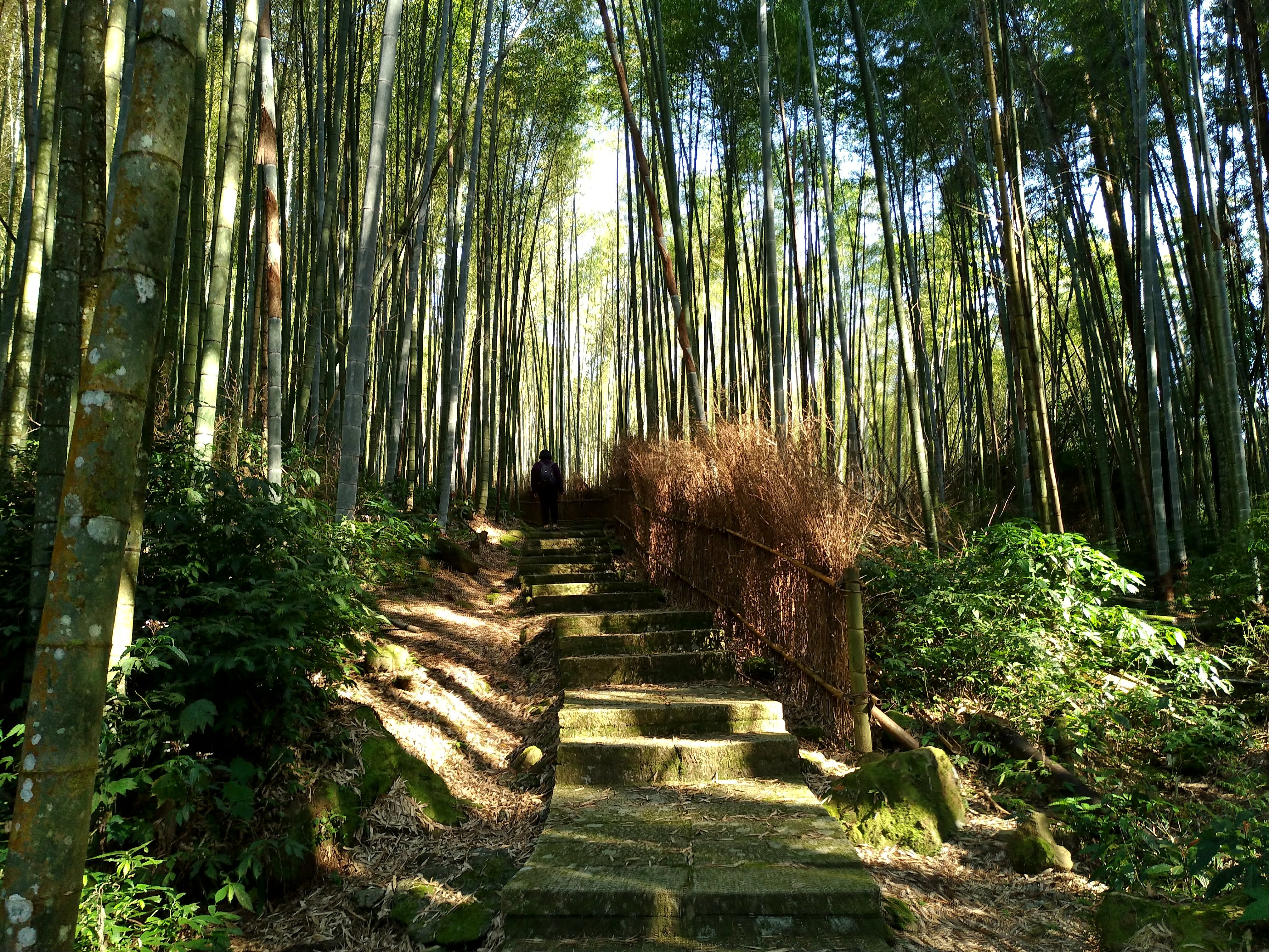 嘉義住宿|竹崎頂湖大凍山休閒渡假中心．近阿里山森林遊樂區/頂石卓雲海琉璃光 @假日農夫愛趴趴照