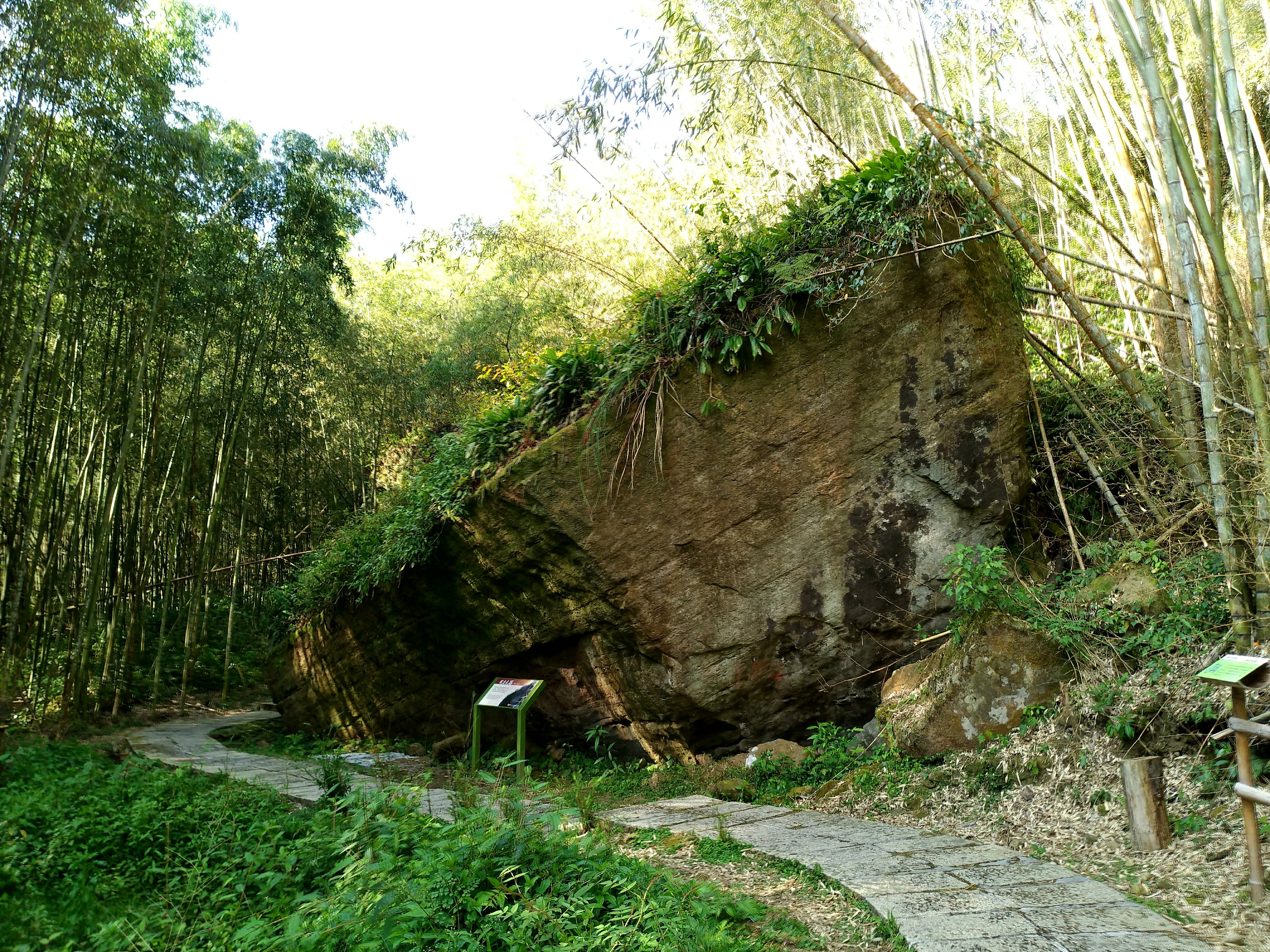 嘉義住宿|竹崎頂湖大凍山休閒渡假中心．近阿里山森林遊樂區/頂石卓雲海琉璃光 @假日農夫愛趴趴照