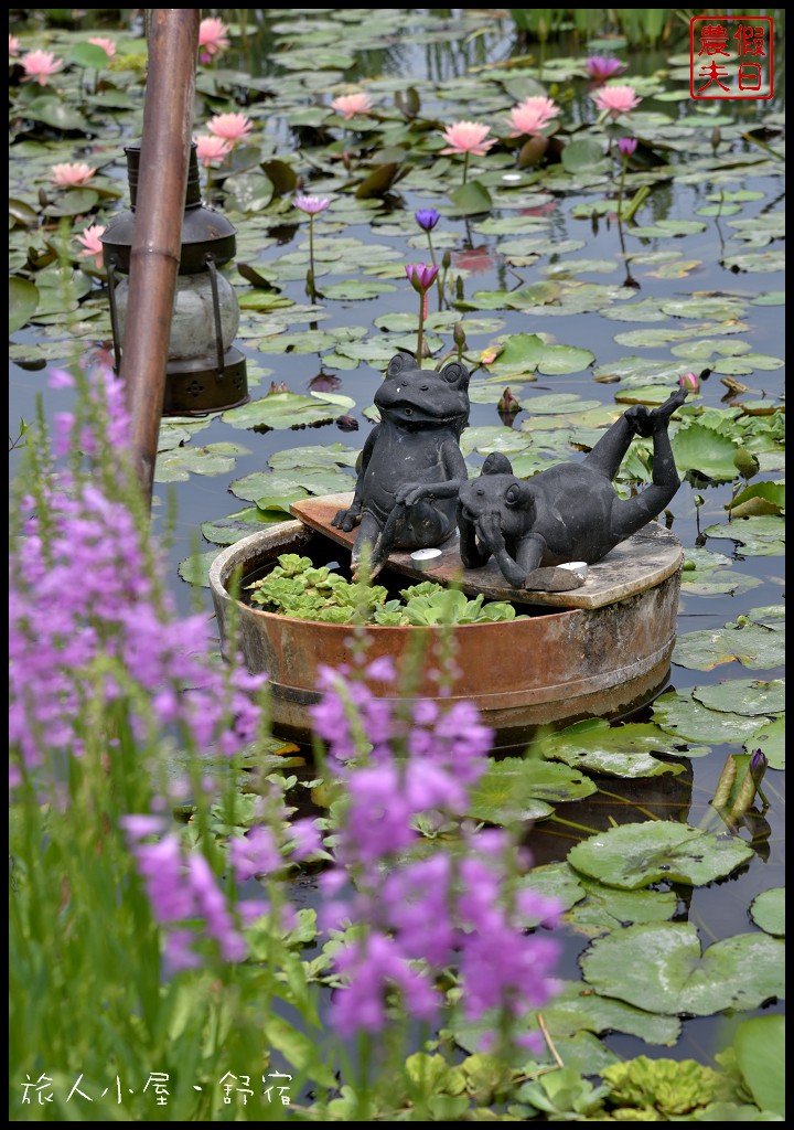 彰化旅遊|田尾旅人小屋舒宿．鳶尾花開好像一隻隻花蝴蝶飛滿花園 @假日農夫愛趴趴照