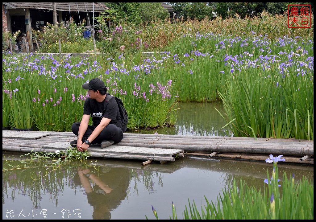 彰化旅遊|田尾旅人小屋舒宿．鳶尾花開好像一隻隻花蝴蝶飛滿花園 @假日農夫愛趴趴照