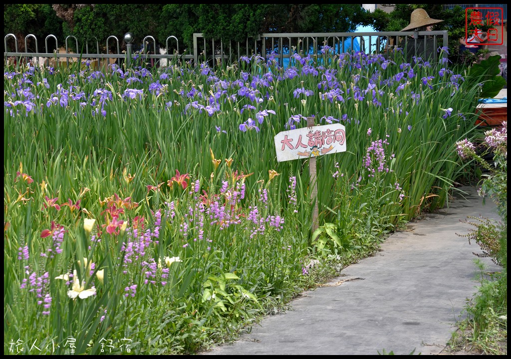 彰化旅遊|田尾旅人小屋舒宿．鳶尾花開好像一隻隻花蝴蝶飛滿花園 @假日農夫愛趴趴照