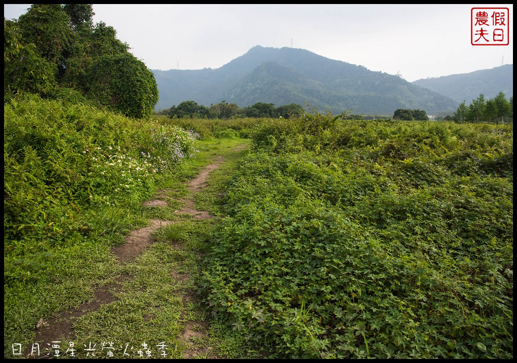 頭社水庫|日月潭星光螢火蟲季/歐都納戶外山野勇氣館/頭社活盆地 @假日農夫愛趴趴照