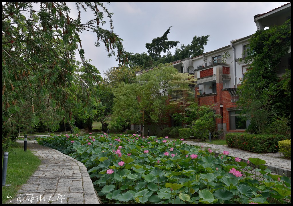 台南景點|國立臺南藝術大學．免出國到江南水鄉/小橋流水人家/穿越劇 @假日農夫愛趴趴照