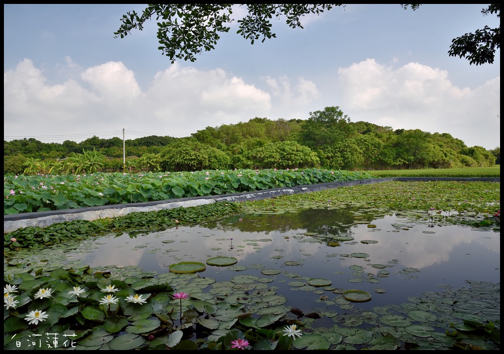 嘉義台南旅遊|台灣好行關子嶺故宮南院線藝文享樂遊故宮南院 湯泉美地住宿二日套票．暢遊西拉雅國家風景區 @假日農夫愛趴趴照