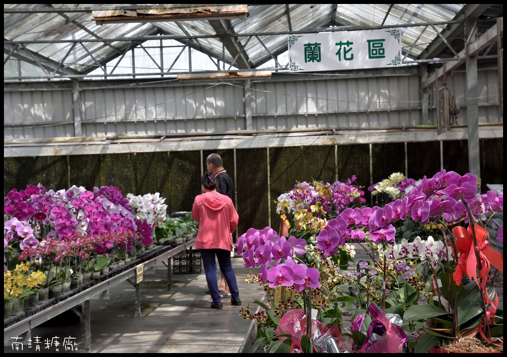 嘉義台南旅遊|台灣好行關子嶺故宮南院線藝文享樂遊故宮南院 湯泉美地住宿二日套票．暢遊西拉雅國家風景區 @假日農夫愛趴趴照