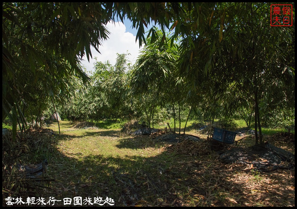 雲林輕旅行|古坑麻園社區採竹筍×斗六行啟紀念館×太平老街碗粿×雲中街生活聚落/一日遊 @假日農夫愛趴趴照