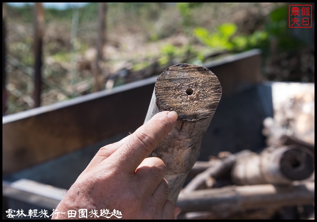 雲林輕旅行|古坑麻園社區採竹筍×斗六行啟紀念館×太平老街碗粿×雲中街生活聚落/一日遊 @假日農夫愛趴趴照