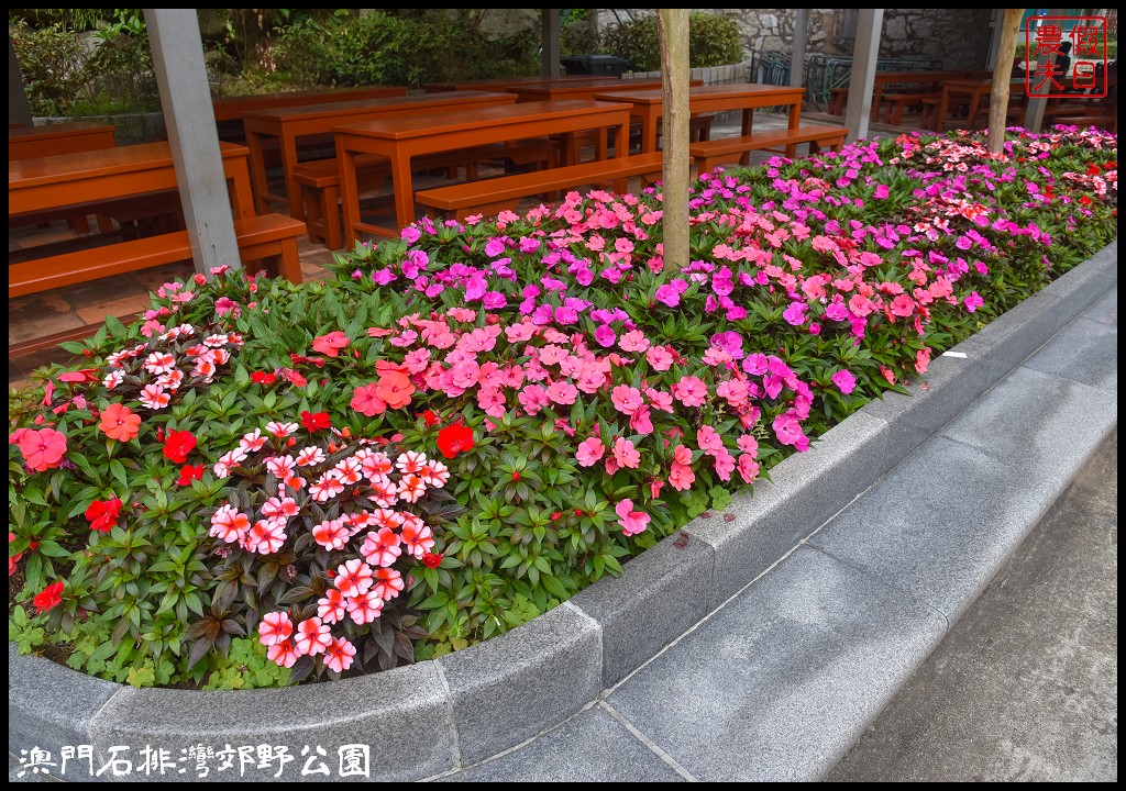 澳門景點|石排灣郊野公園．一次可以看到四隻大熊貓/門票、交通、巴士 @假日農夫愛趴趴照