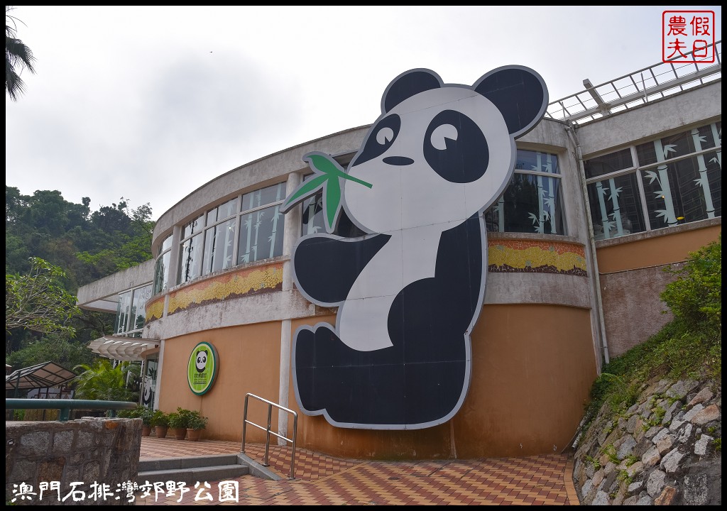 澳門景點|石排灣郊野公園．一次可以看到四隻大熊貓/門票、交通、巴士 @假日農夫愛趴趴照