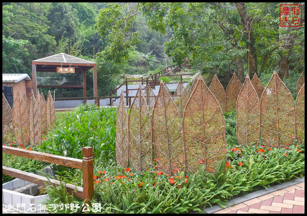 澳門景點|石排灣郊野公園．一次可以看到四隻大熊貓/門票、交通、巴士 @假日農夫愛趴趴照