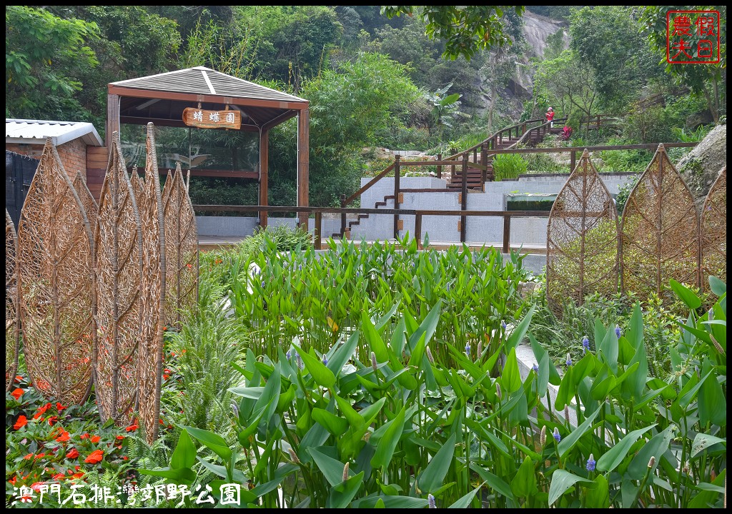 澳門景點|石排灣郊野公園．一次可以看到四隻大熊貓/門票、交通、巴士 @假日農夫愛趴趴照