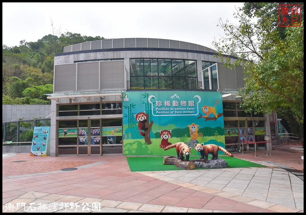 澳門景點|石排灣郊野公園．一次可以看到四隻大熊貓/門票、交通、巴士 @假日農夫愛趴趴照