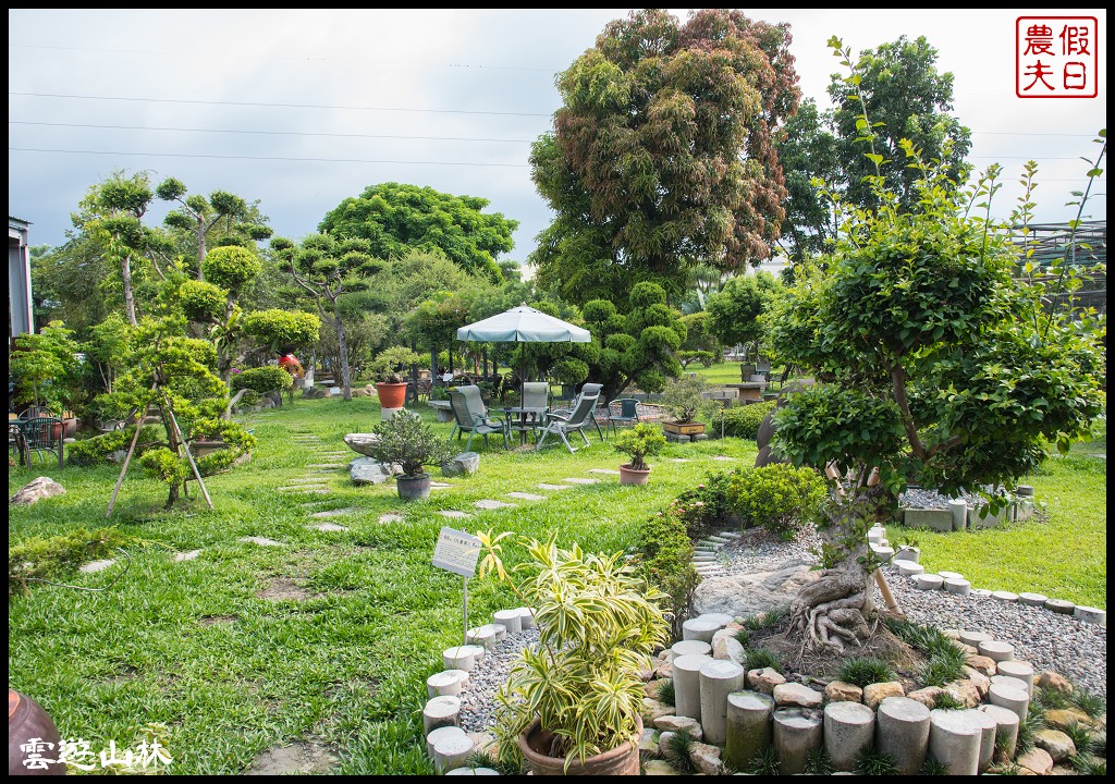 雲林輕旅行 | 大同醬油黑金釀造館×蜜蜂故事館×綠色隧道×自家莊園×貝克翰農場/雲遊3林/一日遊 @假日農夫愛趴趴照