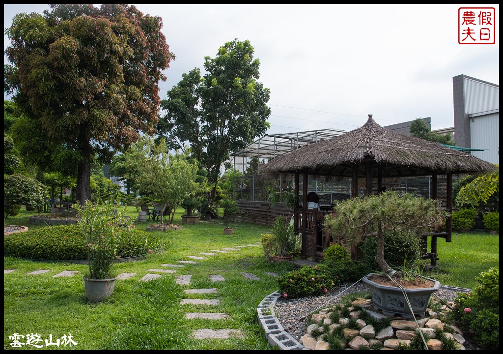 雲林輕旅行 | 大同醬油黑金釀造館×蜜蜂故事館×綠色隧道×自家莊園×貝克翰農場/雲遊3林/一日遊 @假日農夫愛趴趴照