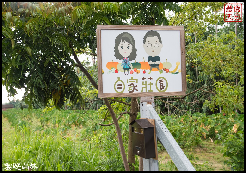 雲林輕旅行 | 大同醬油黑金釀造館×蜜蜂故事館×綠色隧道×自家莊園×貝克翰農場/雲遊3林/一日遊 @假日農夫愛趴趴照