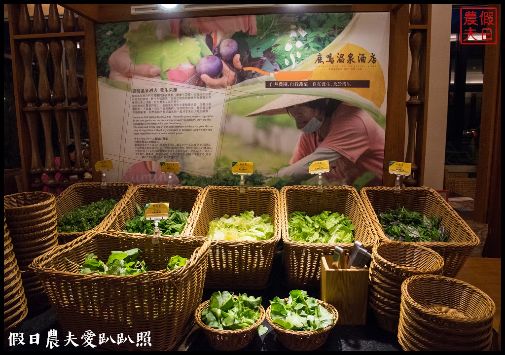 台東住宿 | 鹿野鹿鳴溫泉酒店．全台首創在飯店搭乘熱氣球/一泊全食/享鹿飛飛奢華套裝 @假日農夫愛趴趴照