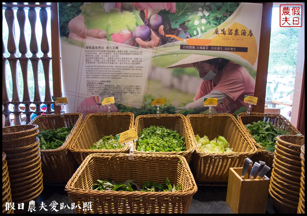 台東住宿 | 鹿野鹿鳴溫泉酒店．全台首創在飯店搭乘熱氣球/一泊全食/享鹿飛飛奢華套裝 @假日農夫愛趴趴照