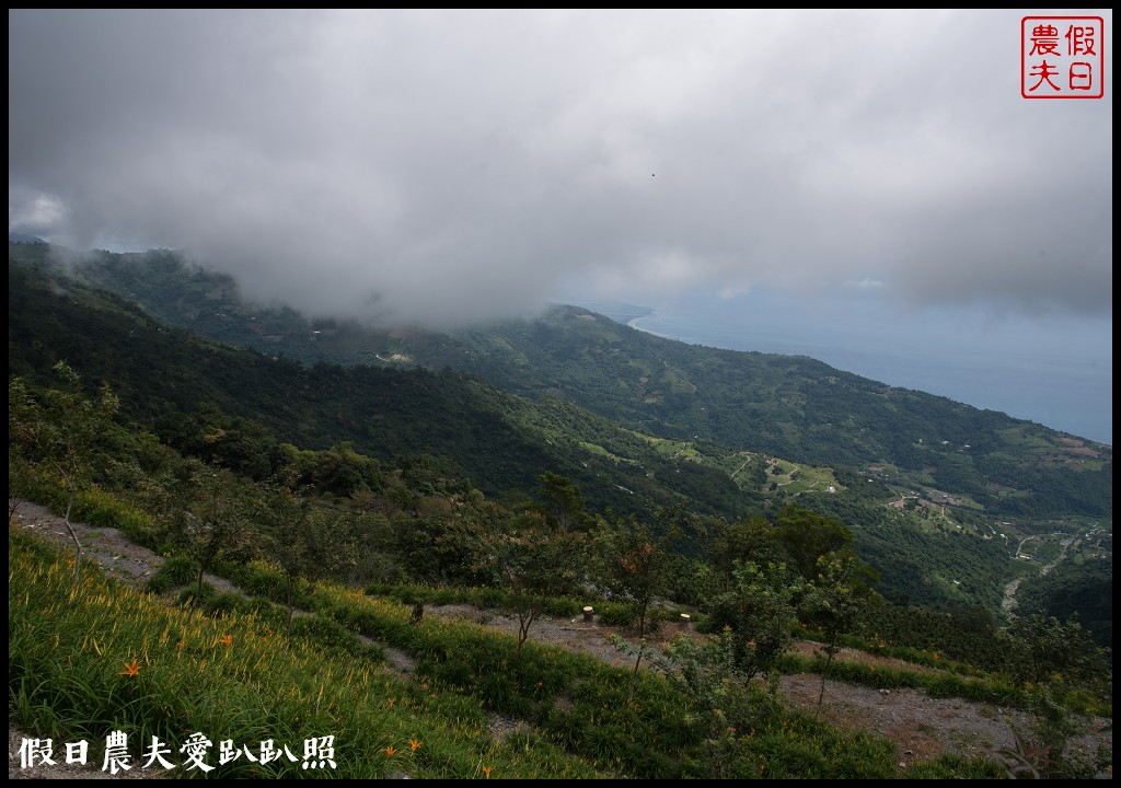 台東景點|太麻里金針山．季節限定的美麗/曙光渡假酒店/半日遊/一日遊 @假日農夫愛趴趴照