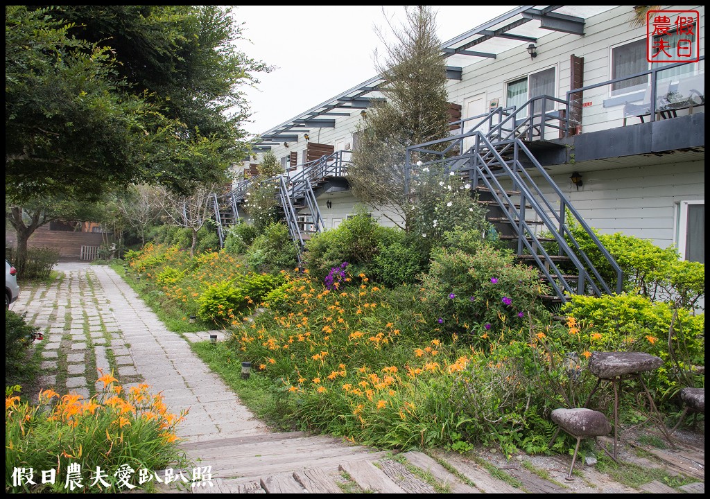 台東景點|太麻里金針山．季節限定的美麗/曙光渡假酒店/半日遊/一日遊 @假日農夫愛趴趴照