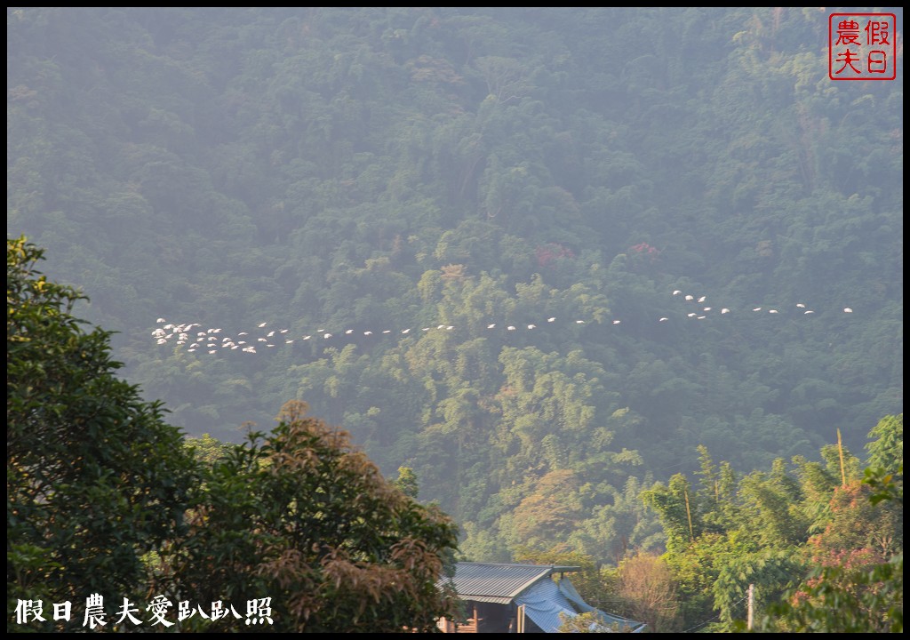 嘉義旅遊 | 茶山部落深度小旅行．獵人射箭 、搗麻糬、吹鳥笛、野溪漂流、向天神取火/開元農場/太平雲梯/二天一夜怎麼玩 @假日農夫愛趴趴照