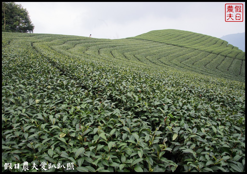 嘉義旅遊 | 茶山部落深度小旅行．獵人射箭 、搗麻糬、吹鳥笛、野溪漂流、向天神取火/開元農場/太平雲梯/二天一夜怎麼玩 @假日農夫愛趴趴照