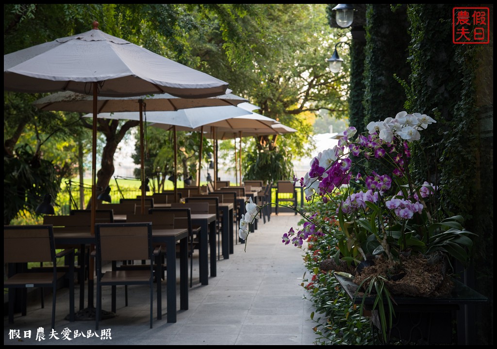 彰化美食 | 北斗家園藝術咖啡牛排館．隱身在落羽松秘境裡的庭園餐廳/團體聚餐/約會/田尾公路花園 @假日農夫愛趴趴照