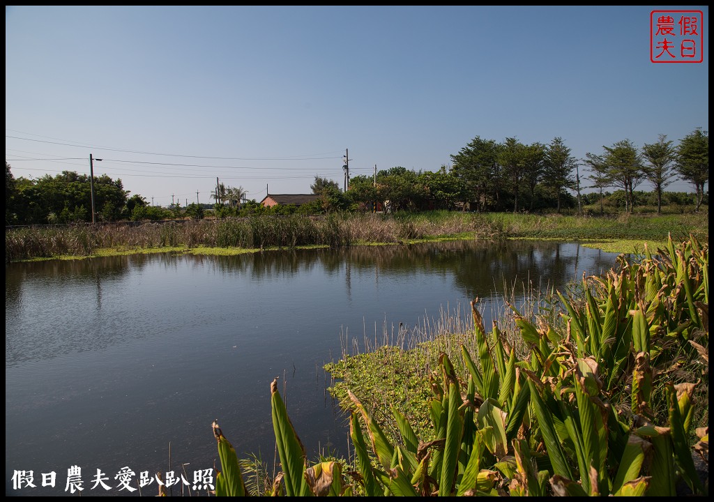 雲林旅遊 | 金水164烏克麗麗農遊海味體驗團一日遊/開臺第一庄顏厝寮/椬梧滯洪池/口湖遊客中心/憨吉秘塘/冠弦吉他樂器社 @假日農夫愛趴趴照