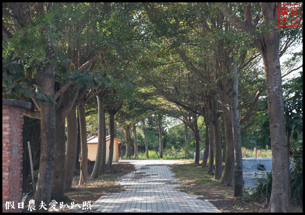 雲林旅遊 | 金水164烏克麗麗農遊海味體驗團一日遊/開臺第一庄顏厝寮/椬梧滯洪池/口湖遊客中心/憨吉秘塘/冠弦吉他樂器社 @假日農夫愛趴趴照